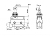 Выключатель концевой CZ-7311 - st-e.info - Екатеринбург